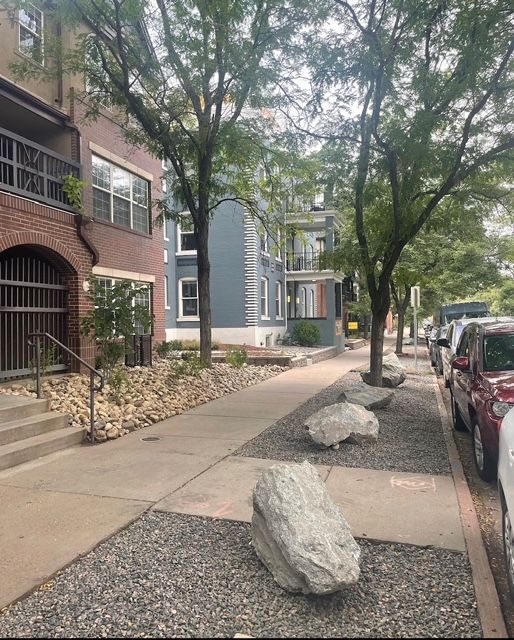 Tree-lined sidewalk beside apartment buildings with parked cars and large rocks in the foreground