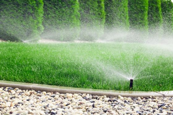 Lawn sprinkler spraying water across a green grass yard beside a stone border